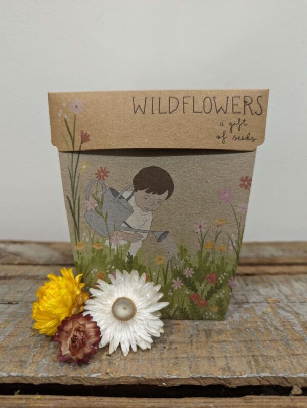 SownSow WIldflowers